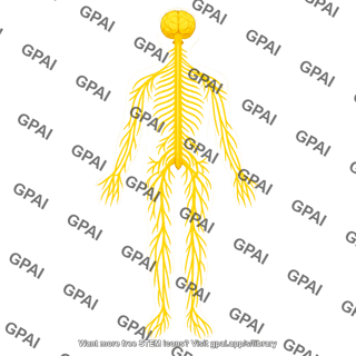Nervous system bright yellow silhouette