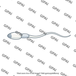 Sperm