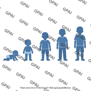 Human growth stages