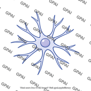 Neuroglia