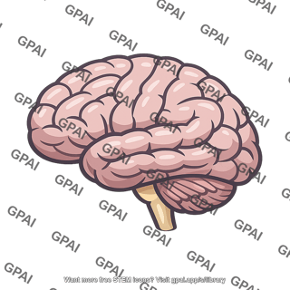 Human brain