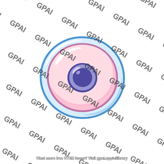 Ovum released