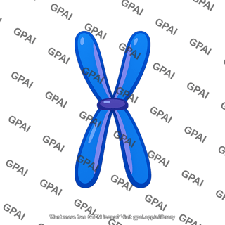Condensed chromosome