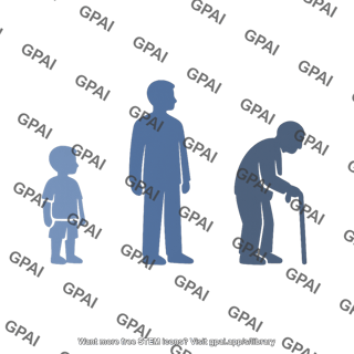 Human lifespan figure