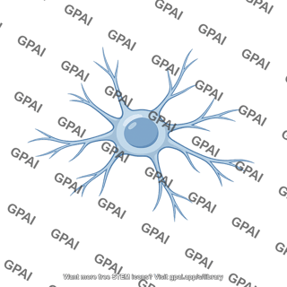 Oligodendrocyte precursor glial cell