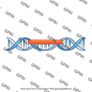 Serotonin transporter gene long allele