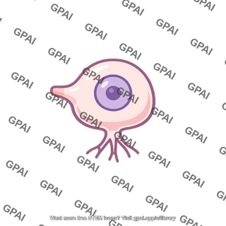 Sensory receptor cell round