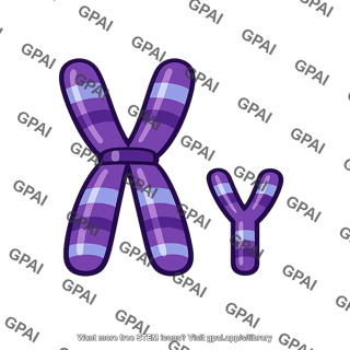 Sex chromosome