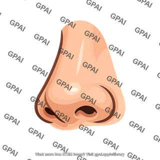 Human nose