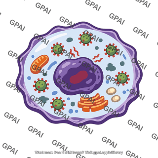 Cell infected