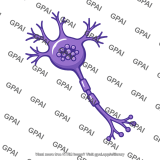 Gaba neuron