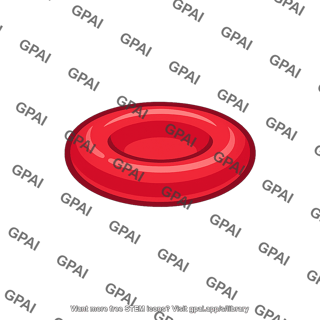 Red blood cell