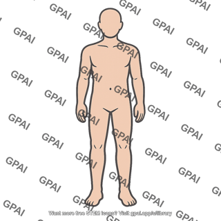 Body