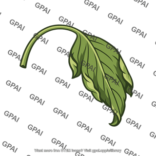 Leaf wilted