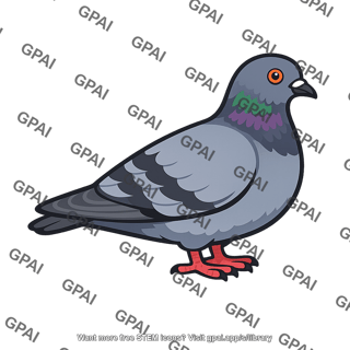 Pigeon