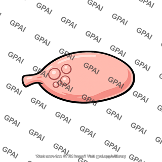 Ovary