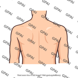 Back