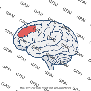 Left dorsolateral prefrontal cortex