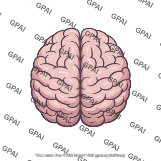 Brain symmetric