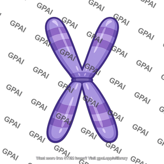 X chromosome