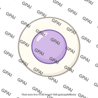 Embryonic stem cell