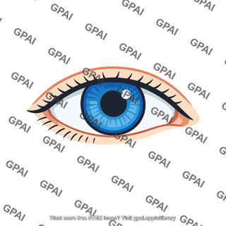Human eye open