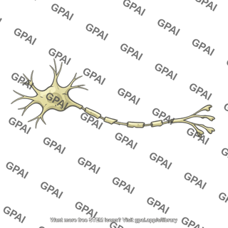 Neuron