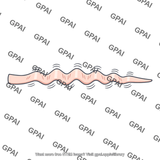 Basilar membrane vibrating
