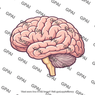 Human brain