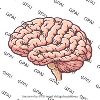Human brain