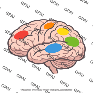 Brain active