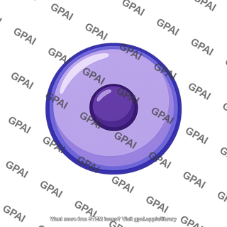 Nucleus