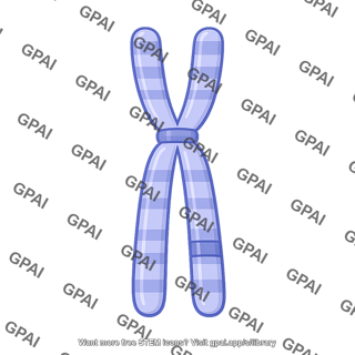 Chromosome