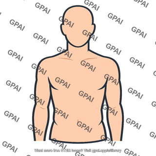 Human body surface