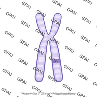 Chromosome 15 q12