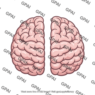 Brain bisected