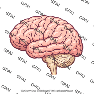 Human brain