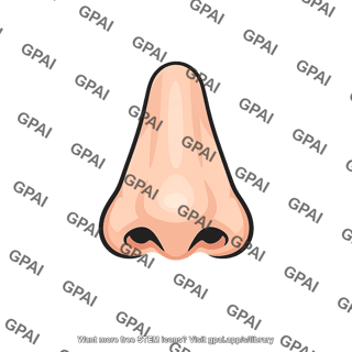Nose front