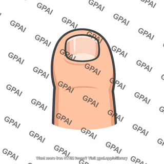 Toe