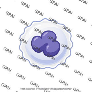 Immune cell