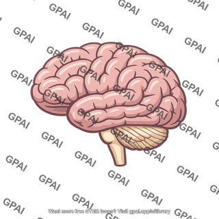 Human brain