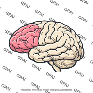 Human brain frontal cortex highlighted