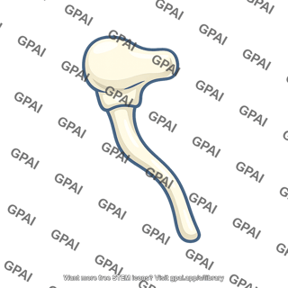 Hammer of ear