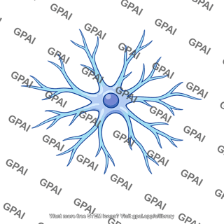 Astrocyte
